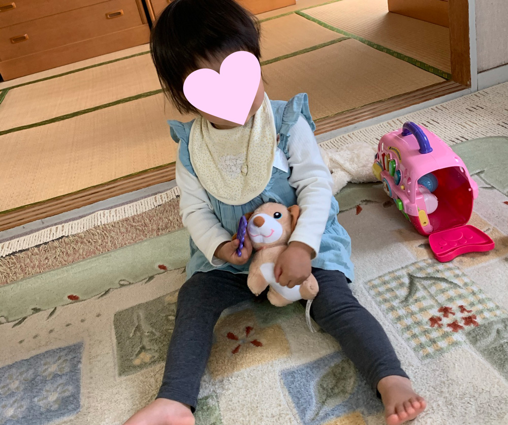 トイサブで2歳の時に借りたおもちゃ